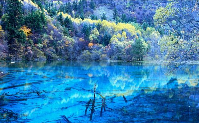 水景之王九寨沟，超有价值的旅行攻略，一生一定要去一次